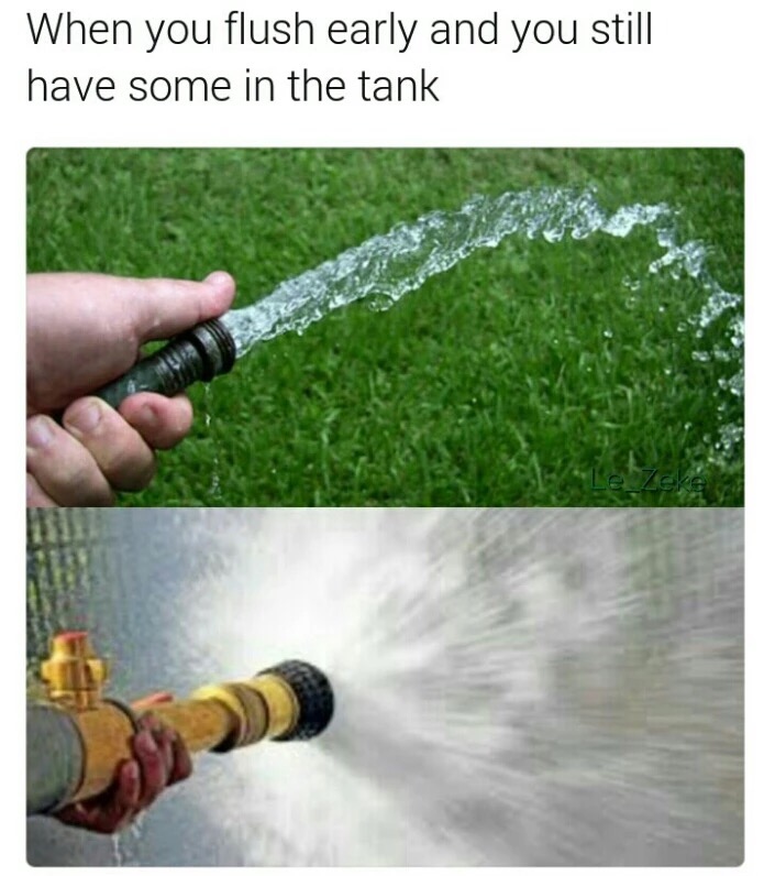 memes - water resources - When you flush early and you still have some in the tank