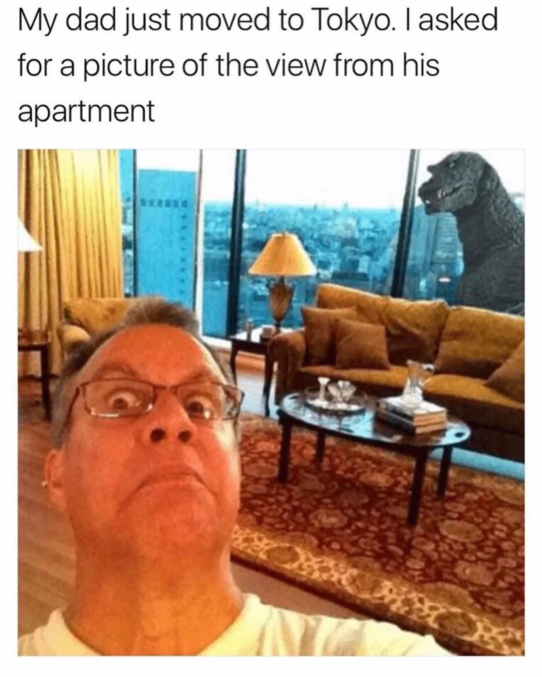 memes - dads being funny - My dad just moved to Tokyo. I asked for a picture of the view from his apartment