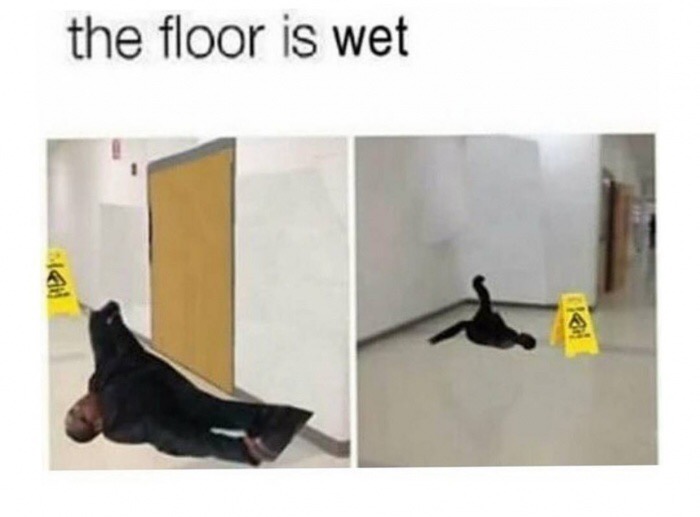 memes - floor meme - the floor is wet