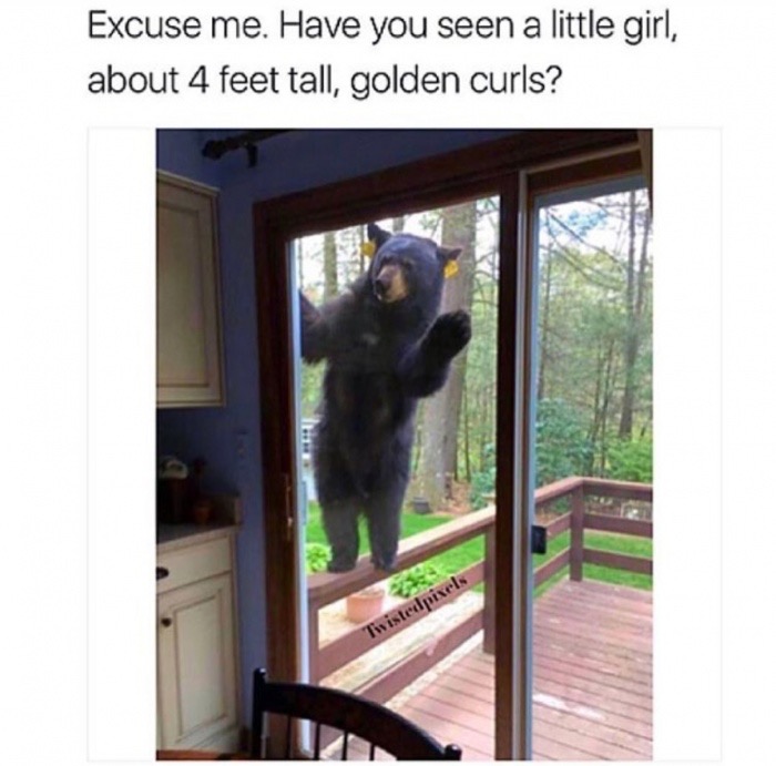 memes - bear at the door - Excuse me. Have you seen a little girl, about 4 feet tall, golden curls? Twistedpixels