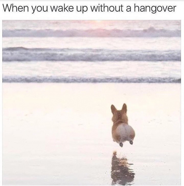 meme stream - waking up without a hangover meme - When you wake up without a hangover