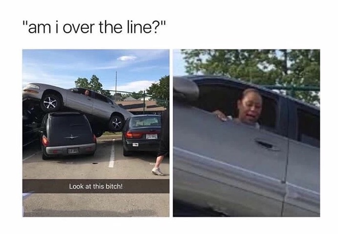 meme stream - am i over the line meme - "am i over the line?" Look at this bitch!