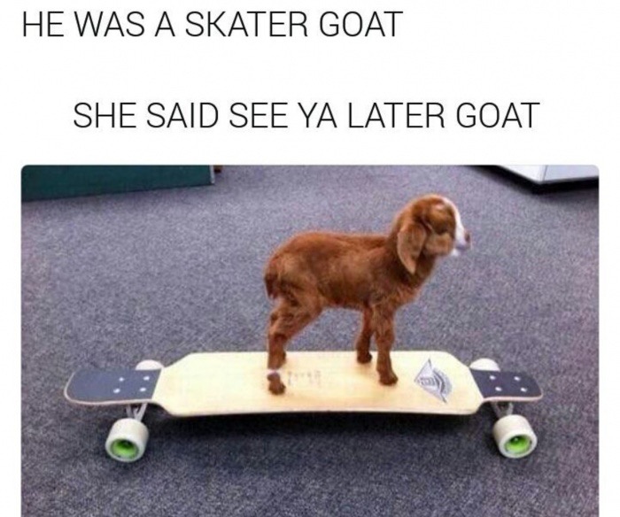 meme stream - he was a skater goat - He Was A Skater Goat She Said See Ya L...