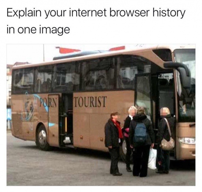 meme stream - porn tourist meme - Explain your internet browser history in one image Tourist