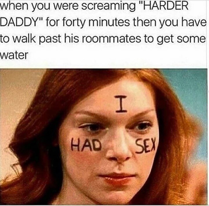 meme stream - had sex meme - when you were screaming "Harder Daddy" for forty minutes then you have to walk past his roommates to get some water Had Sex