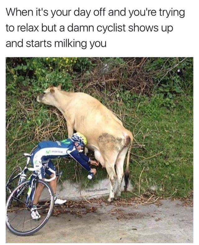 meme stream - tour de france funny - When it's your day off and you're trying to relax but a damn cyclist shows up and starts milking you Simon