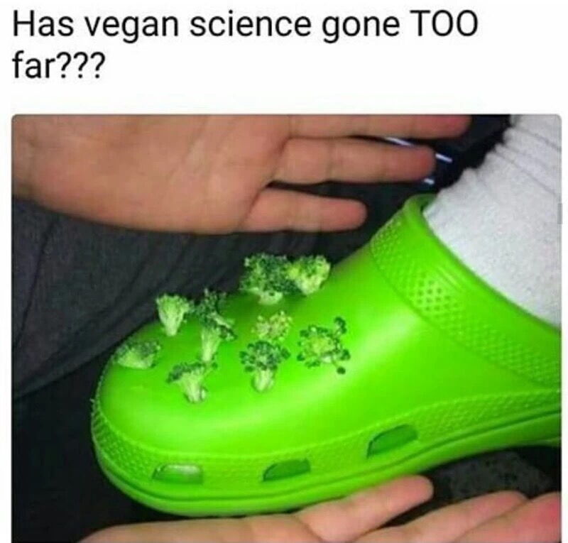 meme - careful who you call ugly in middle school crocs - Has vegan science gone Too far???