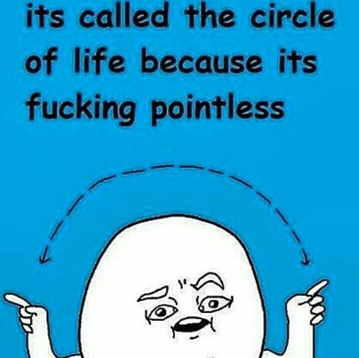 meme - cartoon - its called the circle of life because its fucking pointless