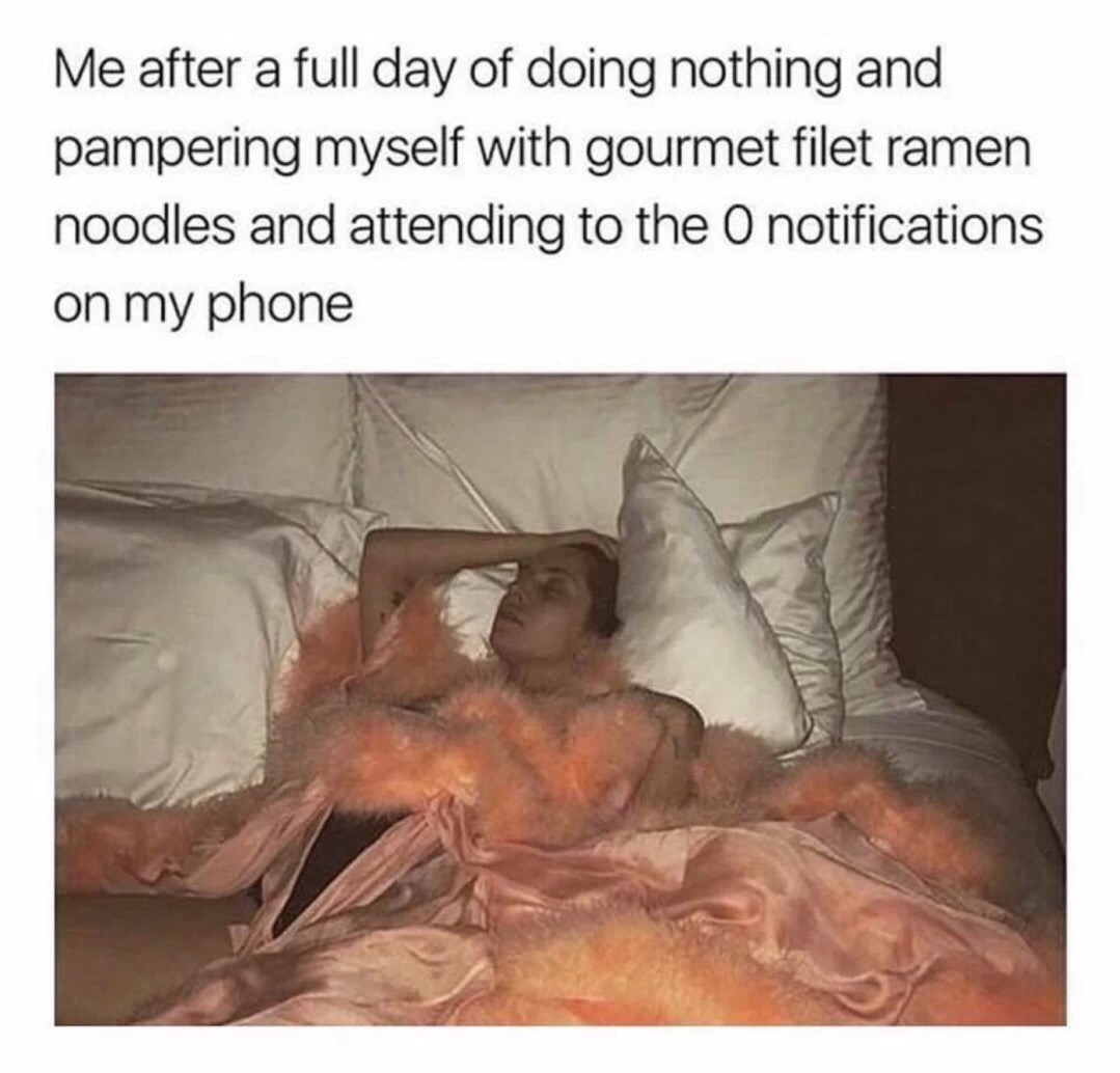 meme - me after doing nothing all day - Me after a full day of doing nothing and pampering myself with gourmet filet ramen noodles and attending to the O notifications on my phone