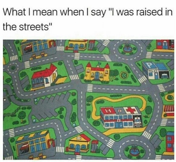 meme - grew up on the streets - What I mean when I say "I was raised in the streets"