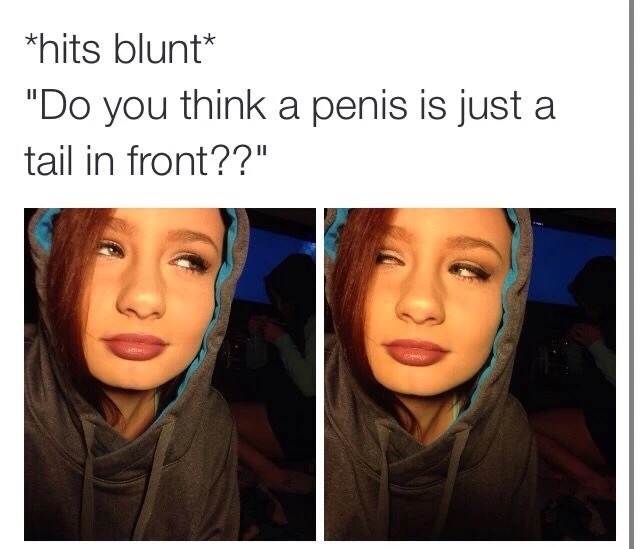 meme - lip - hits blunt "Do you think a penis is just a tail in front??"