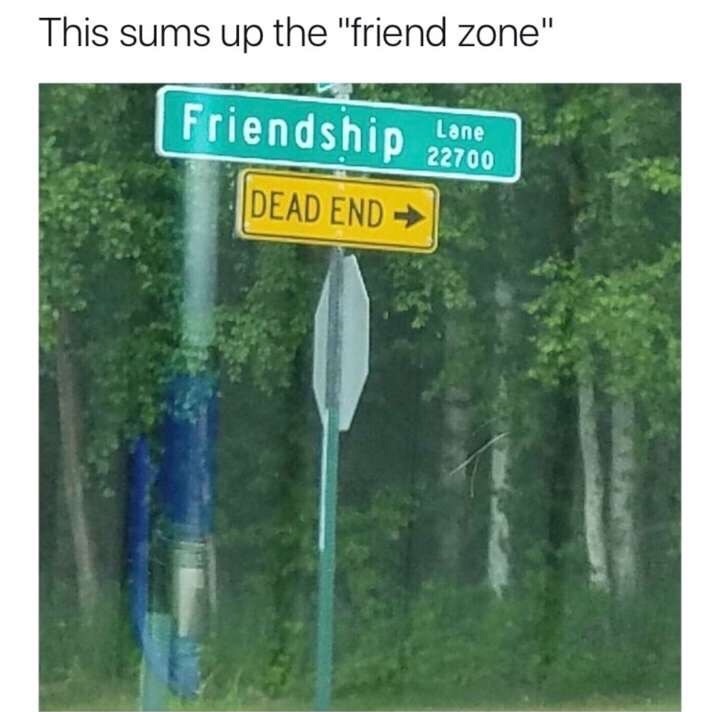 edgy meme of nature reserve - This sums up the "friend zone" Friendship 22700 Dead End