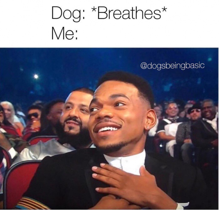 edgy meme of cutting off people meme - Dog Breathes Me