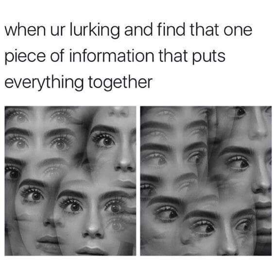edgy meme of one piece relatable meme - when ur lurking and find that one piece of information that puts everything together