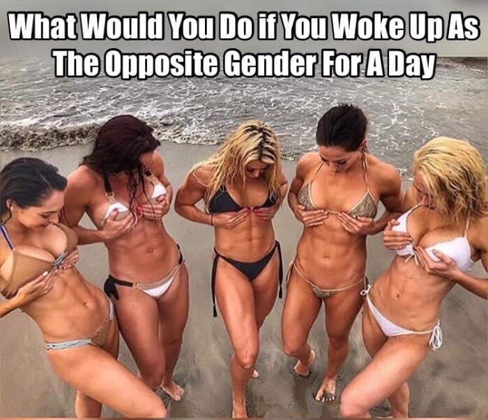 edgy meme of bikini - What Would You Do if You Woke Up As The Opposite Gender For A Day