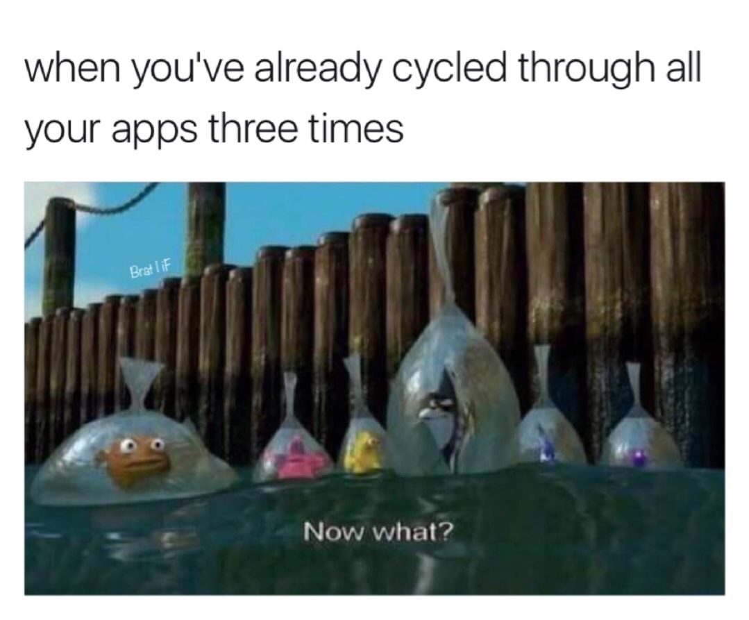 edgy meme of now what nemo - when you've already cycled through all your apps three times Brat lif Now what?