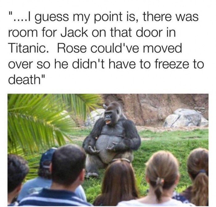 edgy meme of ted talk gorilla meme - "....I guess my point is, there was room for Jack on that door in Titanic. Rose could've moved over so he didn't have to freeze to death"