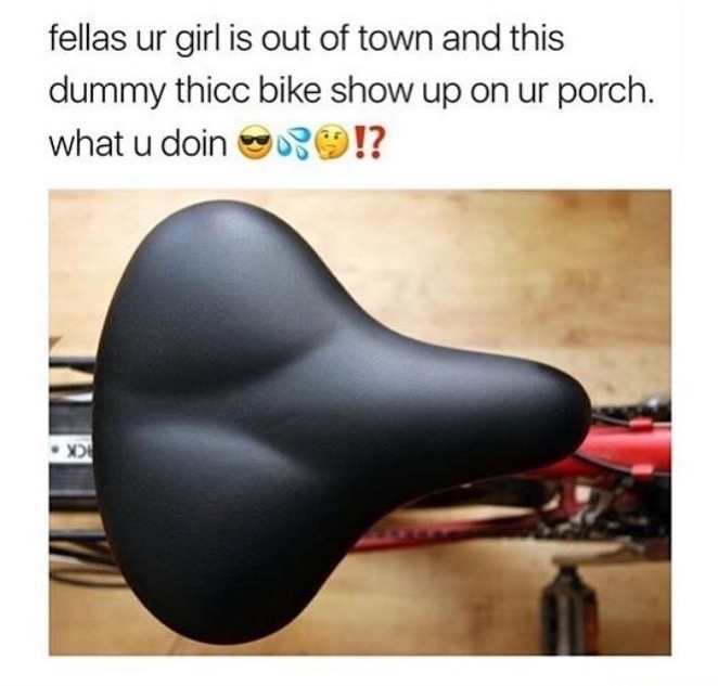 memes - thicc girl on a bike - fellas ur girl is out of town and this dummy thicc bike show up on ur porch. what u doin ? !? Xde