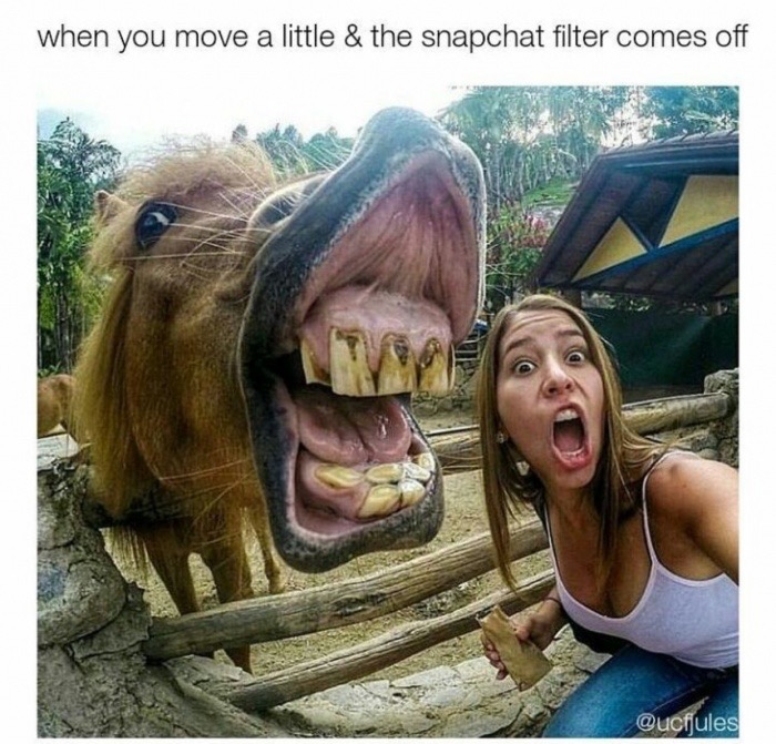memes - fucked up teeth - when you move a little & the snapchat filter comes off
