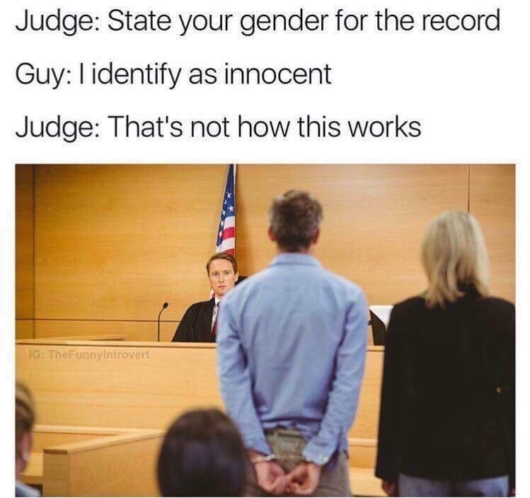 memes - court memes - Judge State your gender for the record Guy l identify as innocent Judge That's not how this works Ig TheFunnyintrovert