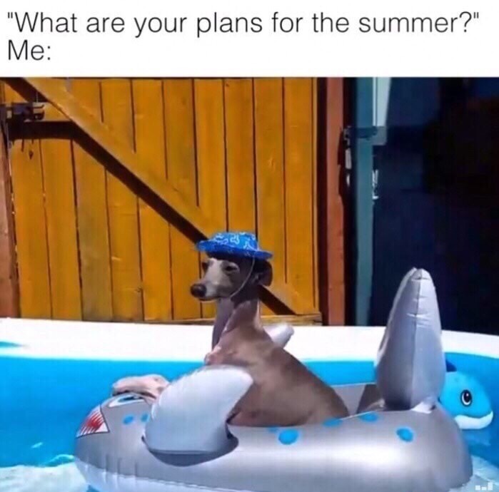 memes - leisure - "What are your plans for the summer?" Me