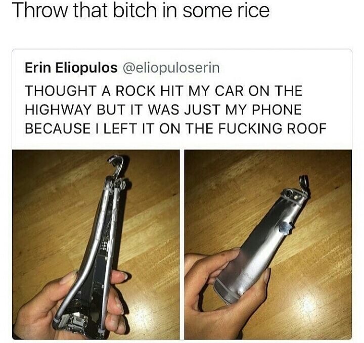 memes - put it in rice meme - Throw that bitch in some rice Erin Eliopulos Thought A Rock Hit My Car On The Highway But It Was Just My Phone Because I Left It On The Fucking Roof