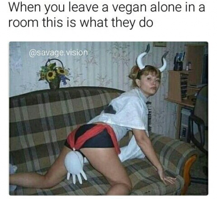 photo caption - When you leave a vegan alone in a room this is what they do .vision