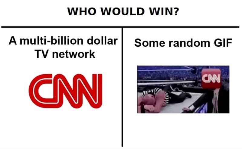 wwe dank meme - Who Would Win? A multibillion dollar billion dollar Tv network Some random Gif Cm