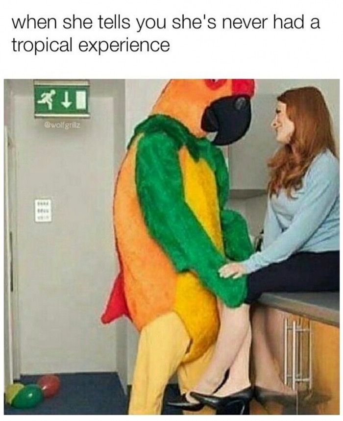 macaw - when she tells you she's never had a tropical experience