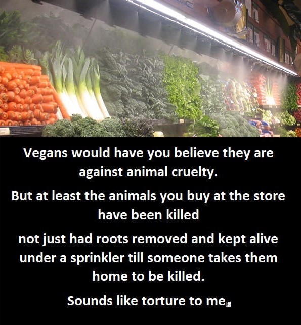 meme - produce - Vegans would have you believe they are against animal cruelty. But at least the animals you buy at the store have been killed not just had roots removed and kept alive under a sprinkler till someone takes them home to be killed. Sounds to