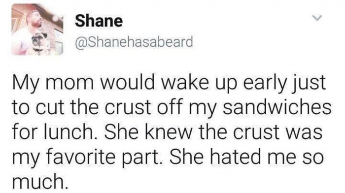 meme - Meme - Shane L My mom would wake up early just to cut the crust off my sandwiches for lunch. She knew the crust was my favorite part. She hated me so much.