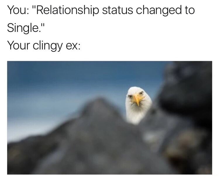 meme - clingy relationship meme - You "Relationship status changed to Single." Your clingy ex