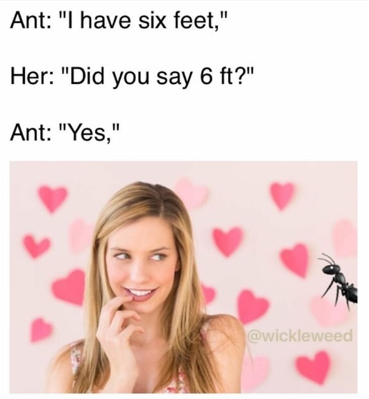 meme - did you say 6 3 meme - Ant "I have six feet," Her "Did you say 6 ft?" Ant "Yes,"