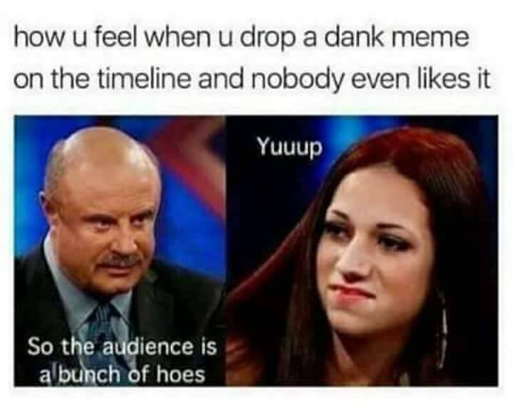 meme - no one replies in the group chat - how u feel when u drop a dank meme on the timeline and nobody even it Yuuup So the audience is a bunch of hoes