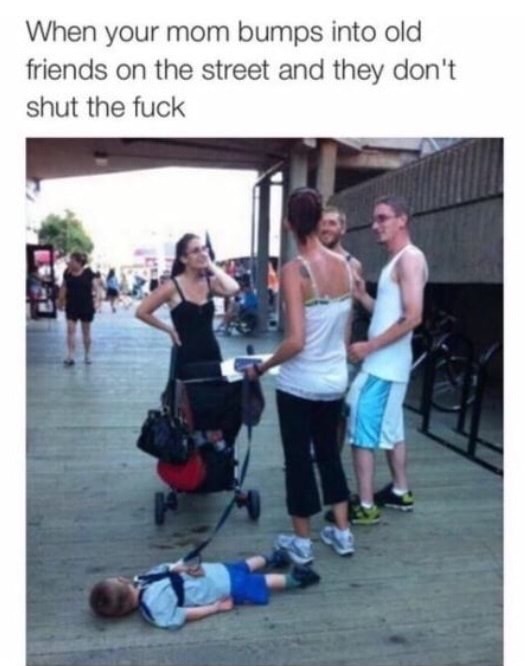 meme - kids on leashes funny - When your mom bumps into old friends on the street and they don't shut the fuck