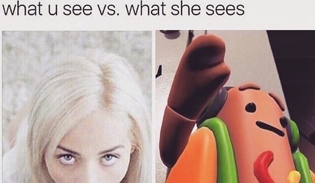 meme - snapchat hot dog meme - what u see vs. what she sees