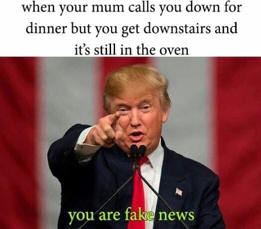 meme - fake news funny - when your mum calls you down for dinner but you get downstairs and it's still in the oven you are fake news