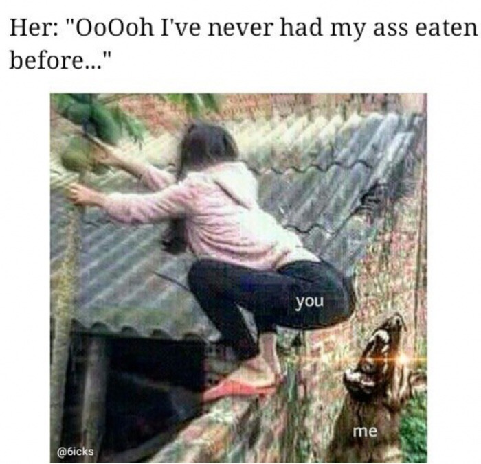 meme - Her "OoOoh I've never had my ass eaten before..." you me