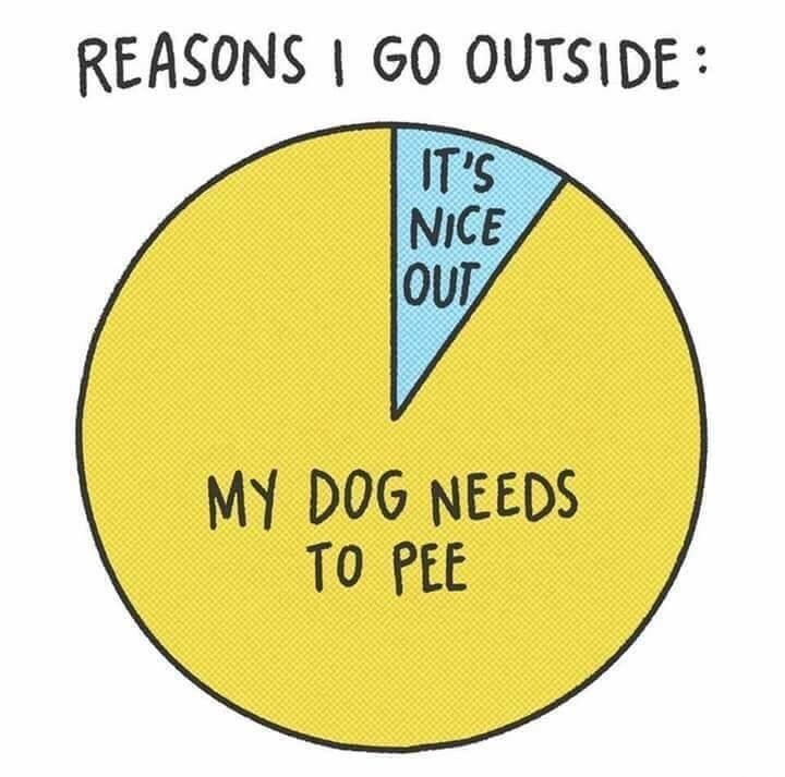 meme - circle - Reasons I Go Outside It'S Nice Out My Dog Needs To Pee