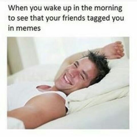 meme - man lying in bed - When you wake up in the morning to see that your friends tagged you in memes