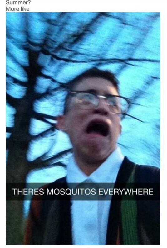 meme - parkour memes - Summer? More Theres Mosquitos Everywhere