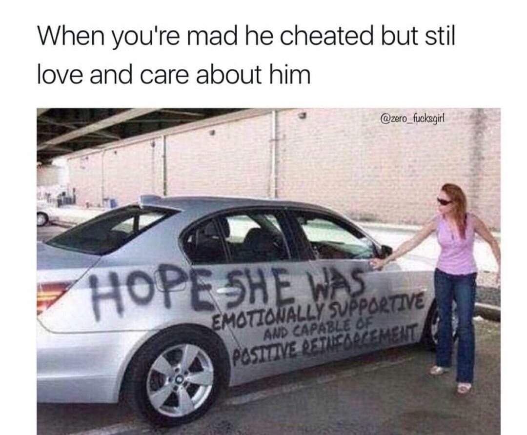 meme - hope she was worth it car - When you're mad he cheated but stil love and care about him 7 Hopeshe Was Emotionally Svpportive And Capable Of Positive Qetest