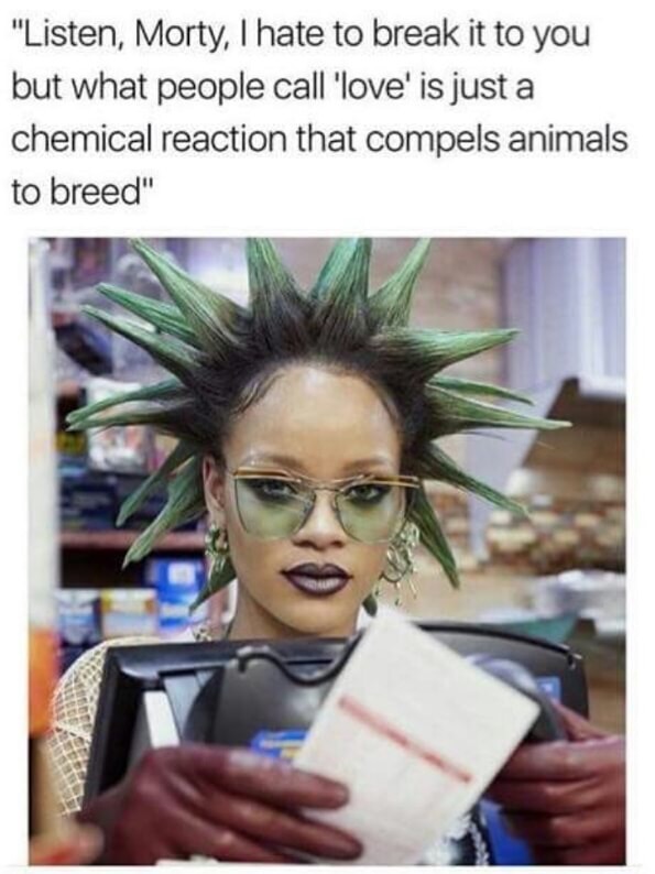 meme - rihanna paper magazine - "Listen, Morty, I hate to break it to you but what people call 'love' is just a chemical reaction that compels animals to breed"