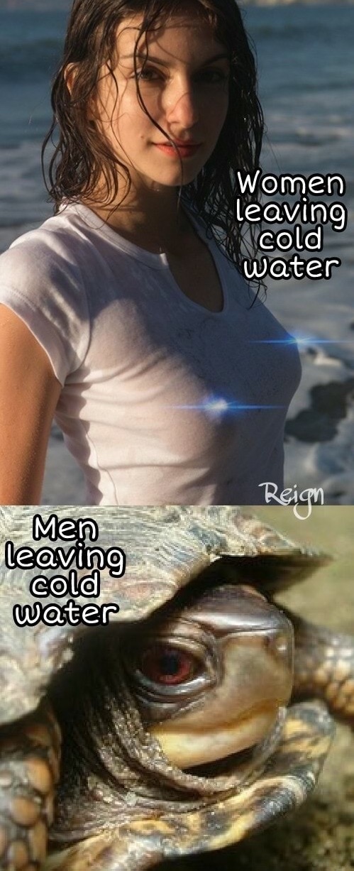 meme - photo caption - Women leaving cold water Reign Men leaving cold Water