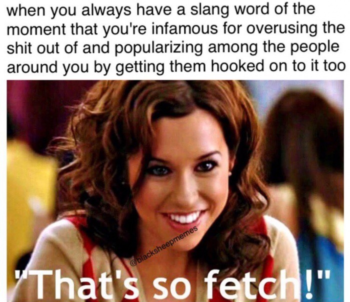 meme - that's so fetch - when you always have a slang word of the moment that you're infamous for overusing the shit out of and popularizing among the people around you by getting them hooked on to it too "That's so fetch!"
