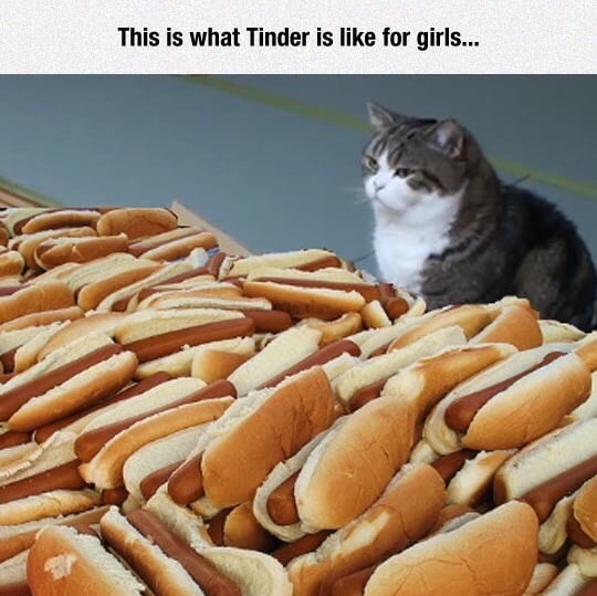 meme - tinder is like for girls - This is what Tinder is for girls...