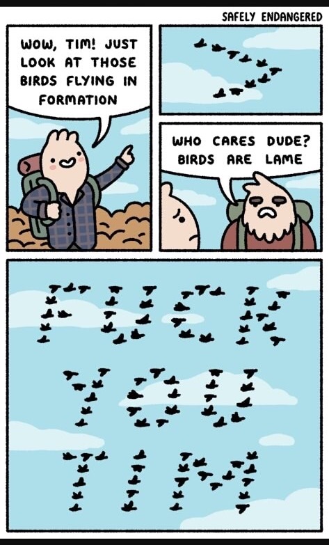 funny bird comics - Safely Endangered Wow, Tim! Just Look At Those Birds Flying In Formation Who Cares Dude? Birds Are Lame