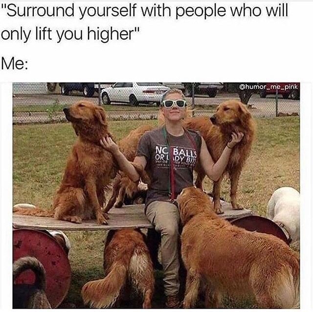 funny dog memes - "Surround yourself with people who will only lift you higher" Me Qhumor_me_pink Og Balls