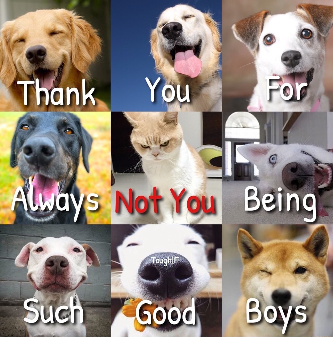 Meme - Thank You Always Not You Being Toughlif Such Good Boys