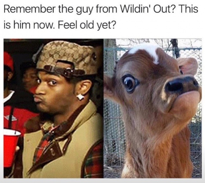 conceited meme - Remember the guy from Wildin' Out? This is him now. Feel old yet?
